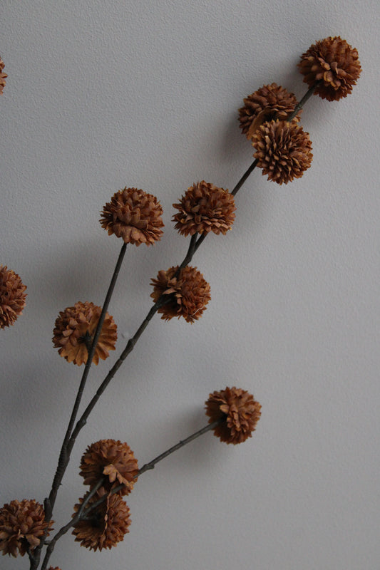 POM POM TAK | COFFEE | 100CM