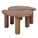 ORGANISCHE SALONTAFEL | LINA | MANGOHOUT | SET VAN