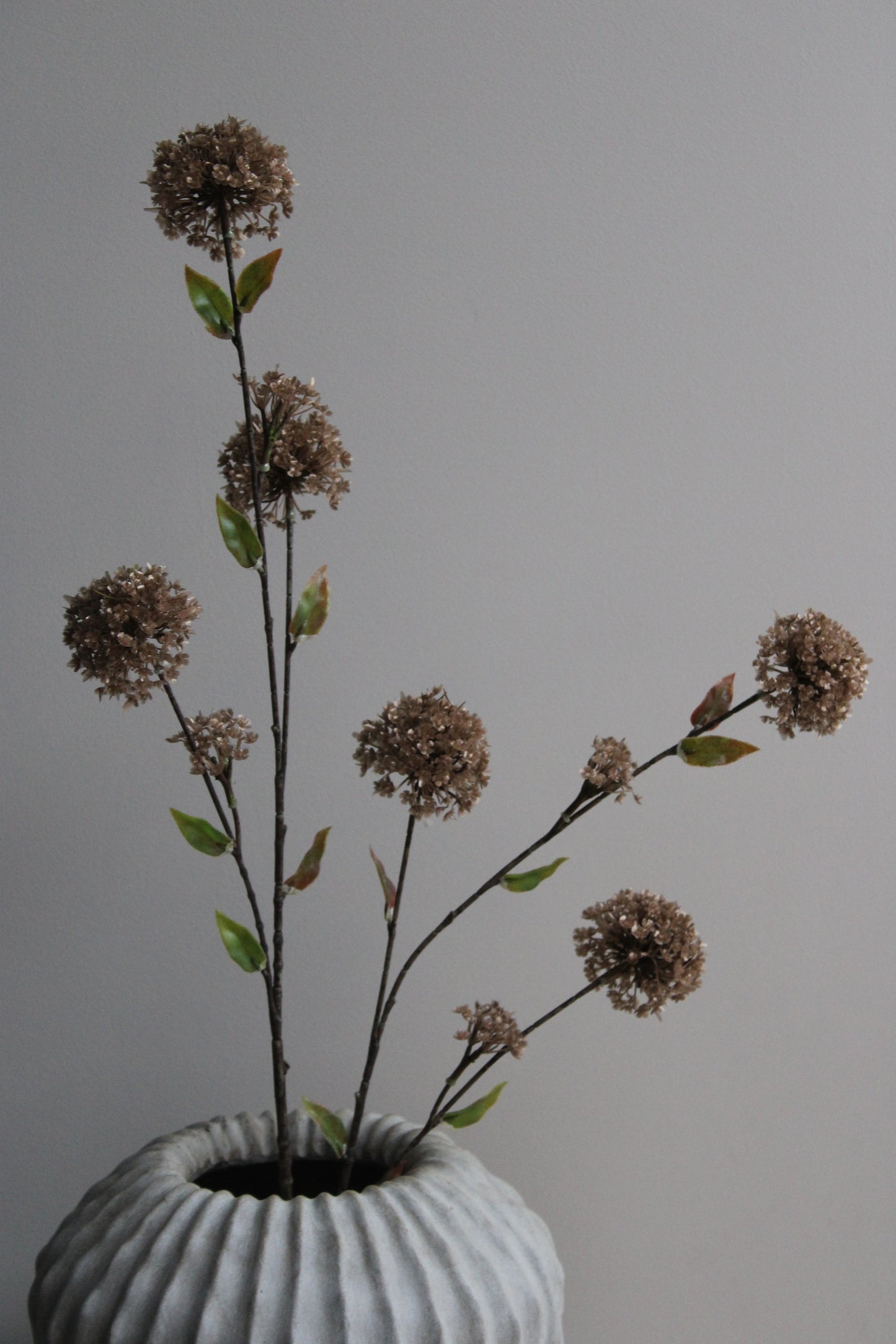 SNOWBALL | GOUD | 106CM