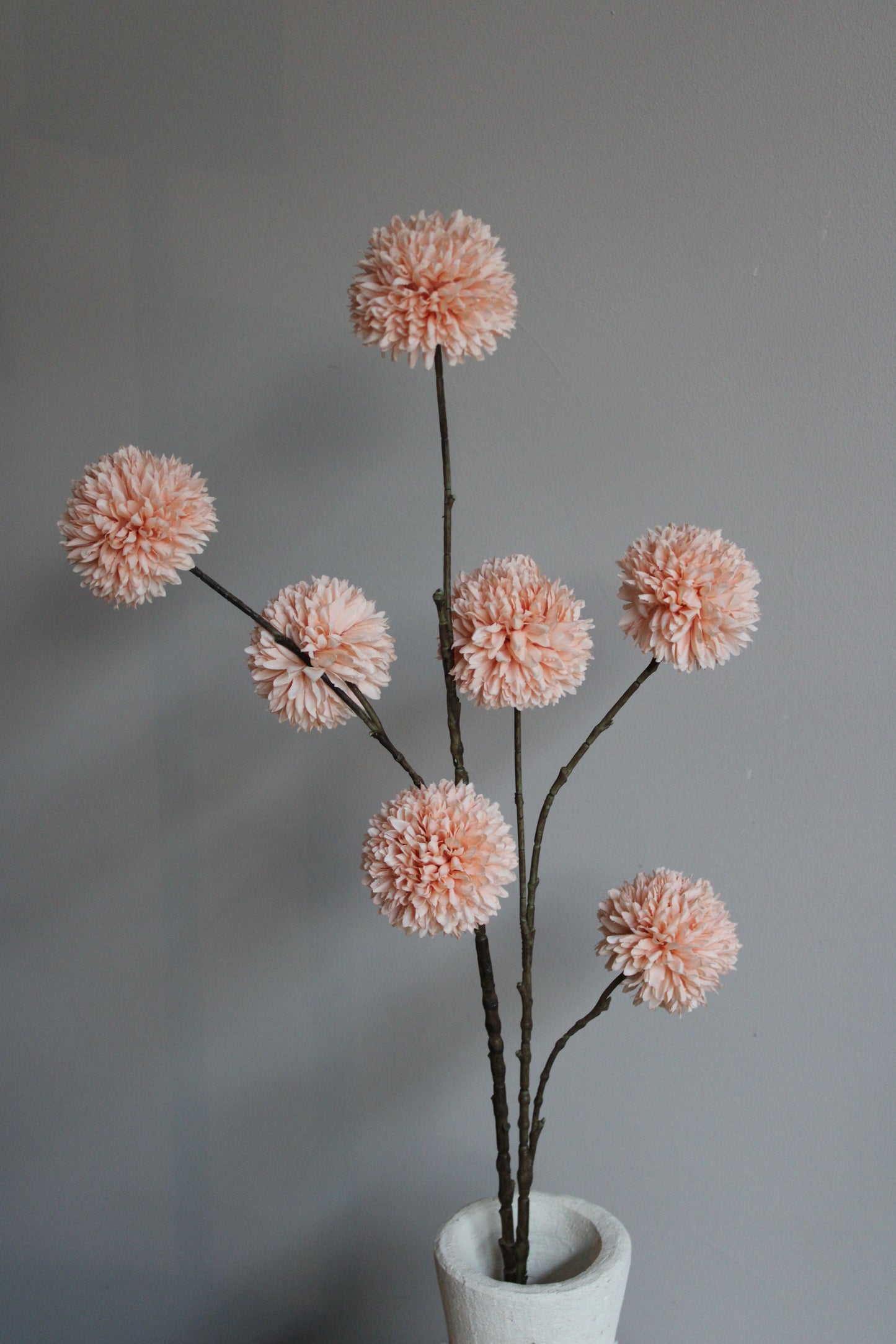 POM POM TAK | XL | ZALM