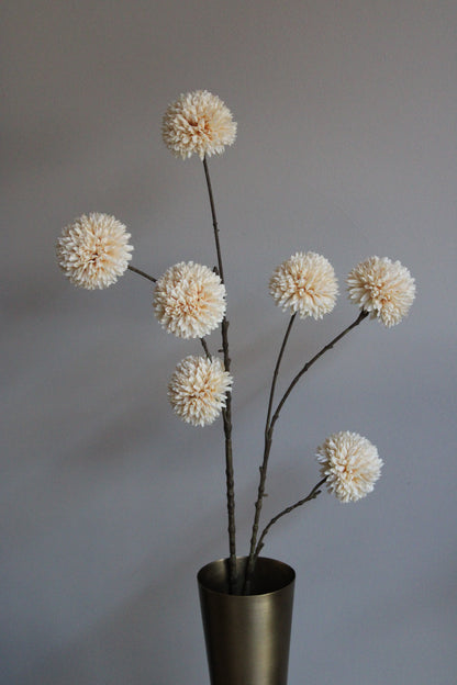 POM POM TAK | XL | BEIGE