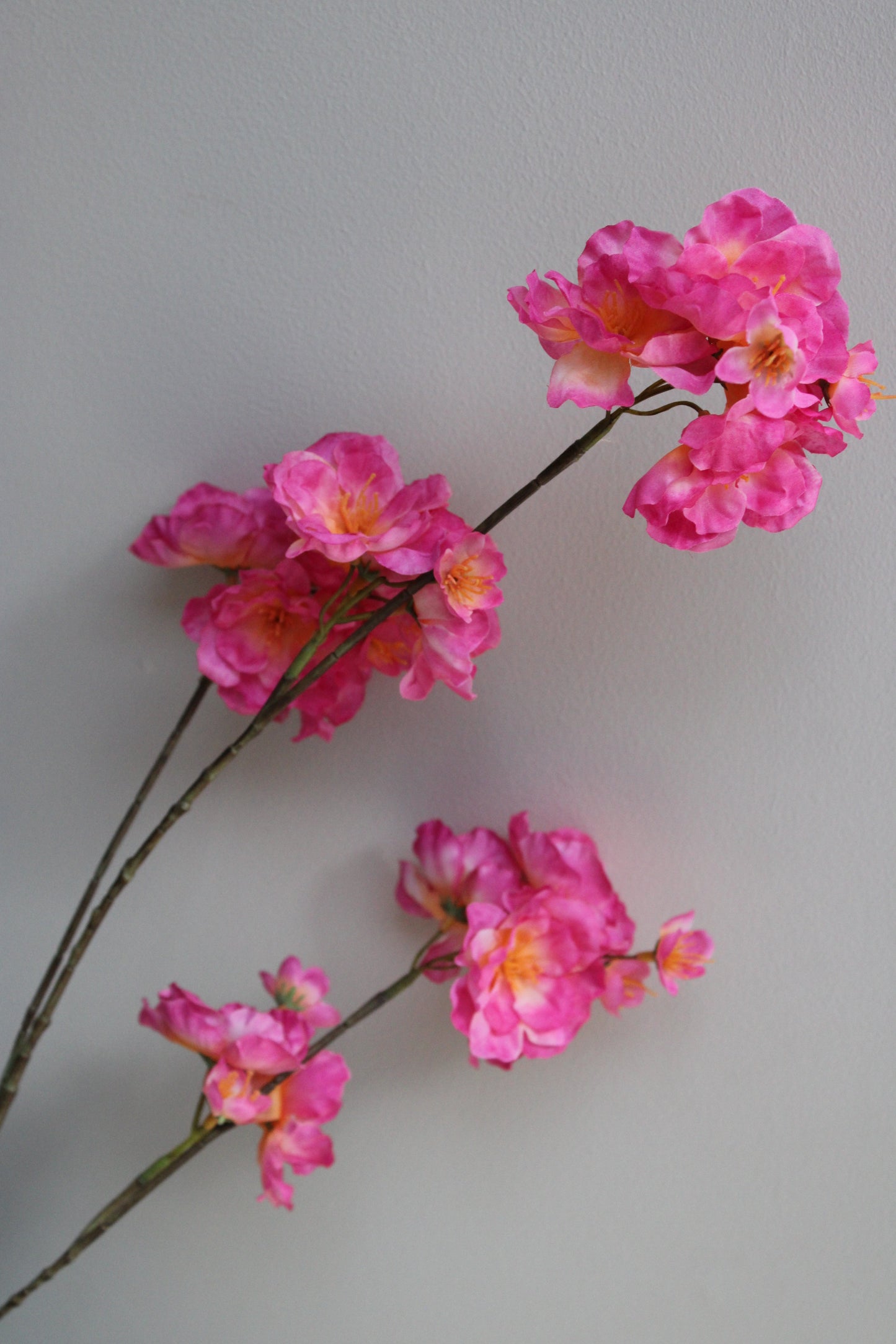 XL BLOESEMTAK | FUCHSIA | 115 CM