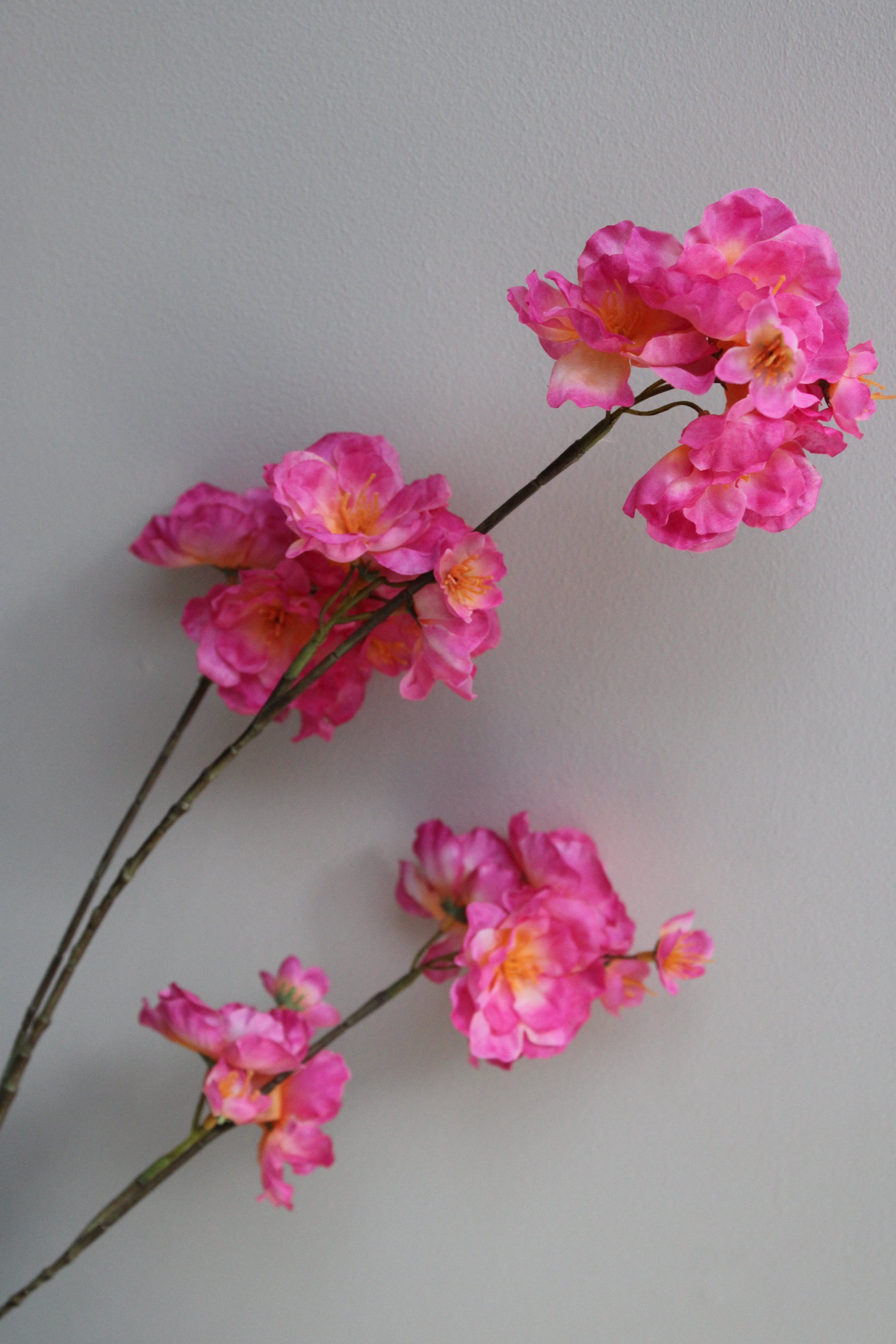 XL BLOESEMTAK | FUCHSIA | 115 CM