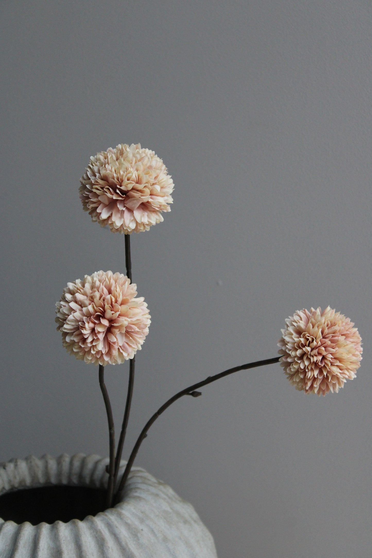 POM POM TAK | CHAMPAGNE | 78CM