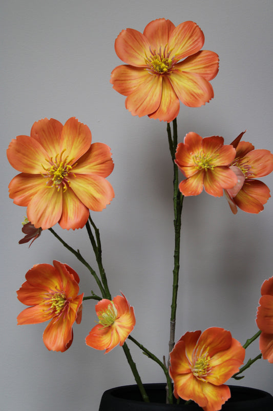 ZIJDEBLOEM COSMOS | ORANJE | 105CM