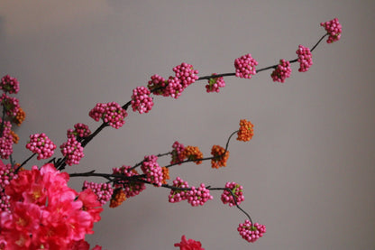 BESSENTAK | CALLICARPA | FUCHSIA