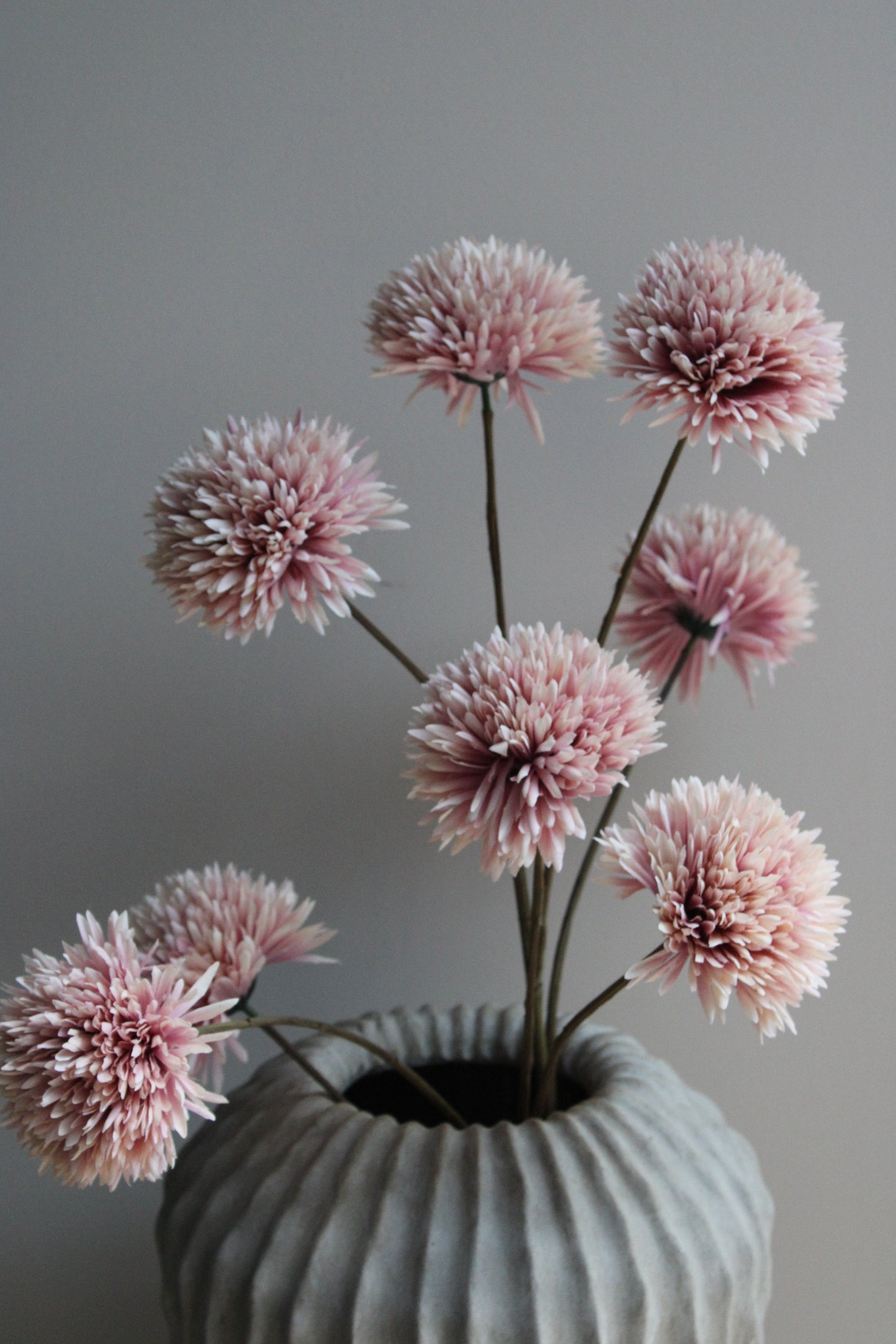 POM POM TAK | GIANT | CHAMPAGNE | 108CM