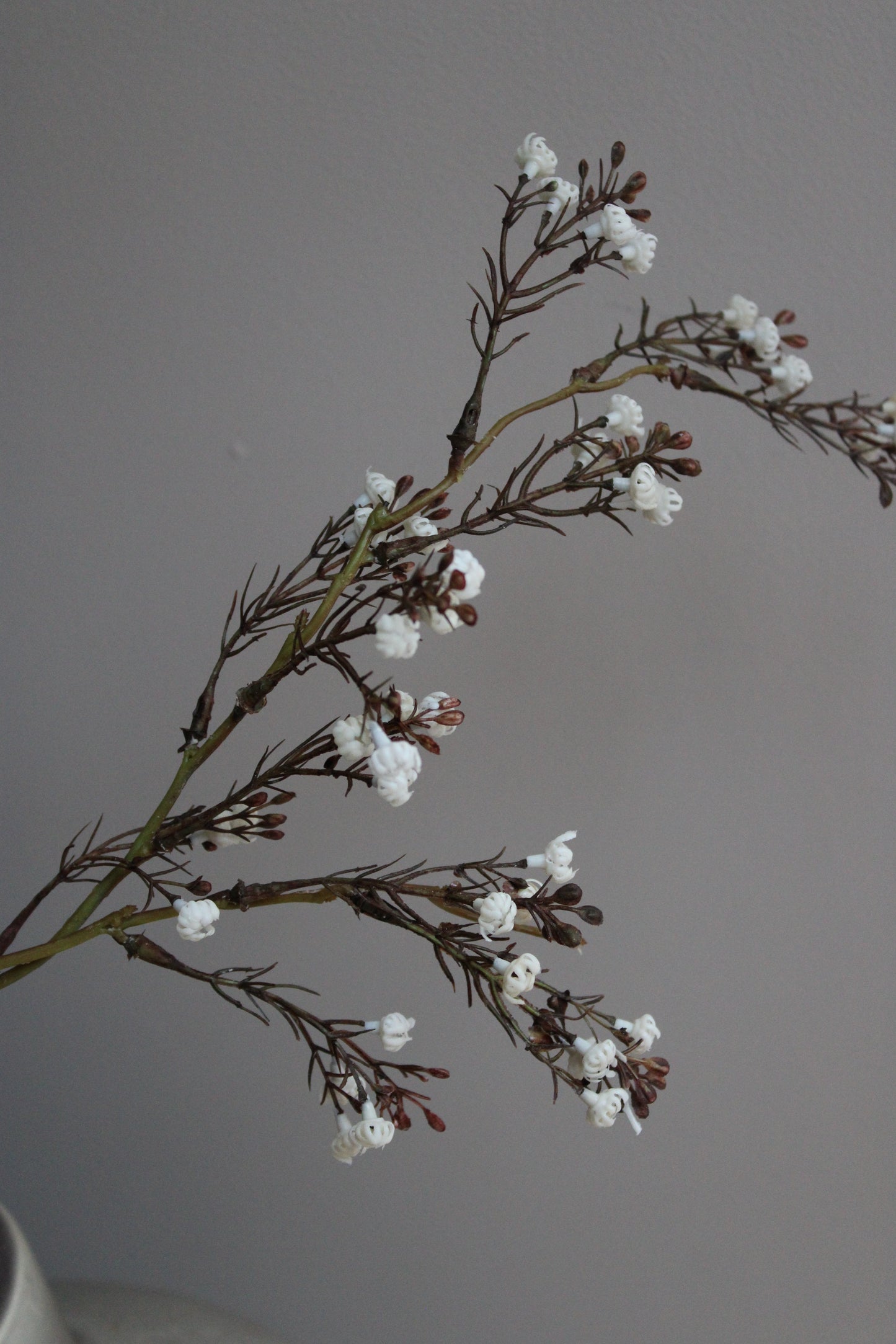 KUNSTTAK | GIPS | BEIGE