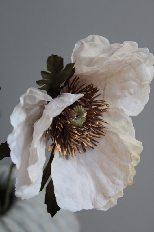 POPPY | BEIGE | 85CM