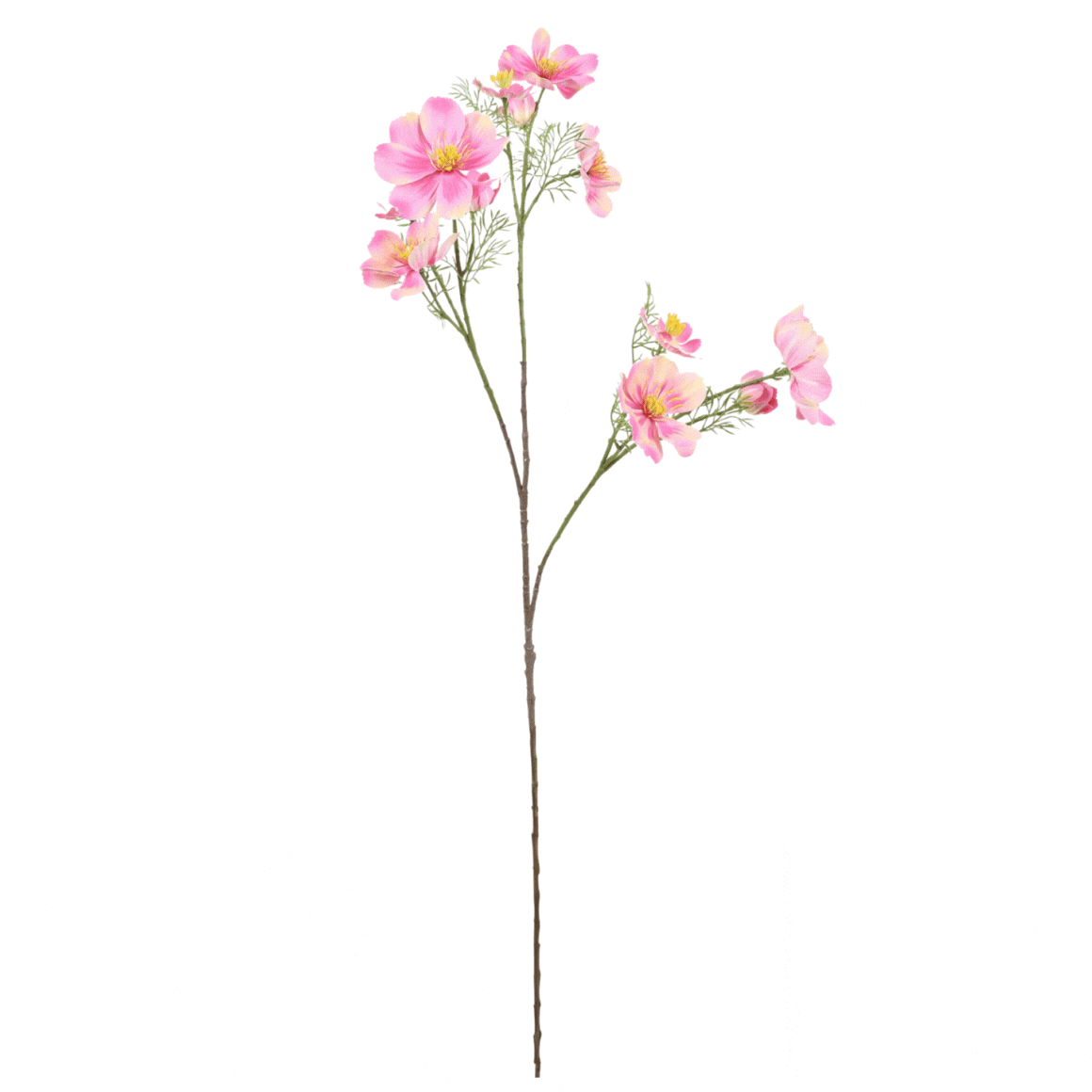 ZIJDEBLOEM COSMOS | ROZE | 105CM