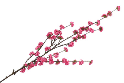 BESSENTAK | CALLICARPA | FUCHSIA