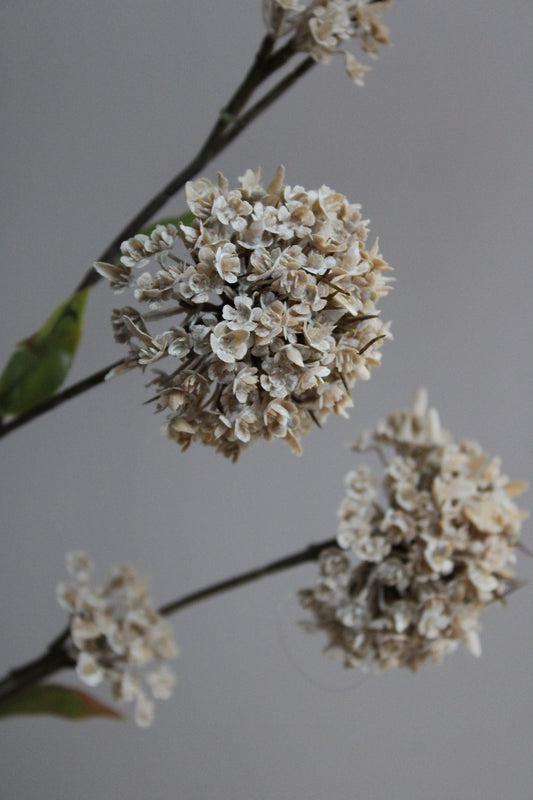 SNOWBALL | TAUPE | 106CM