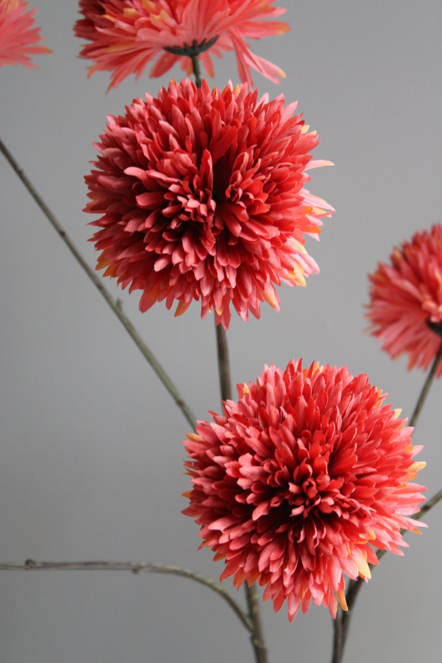POM POM TAK | GIANT | ORANGE | 108CM
