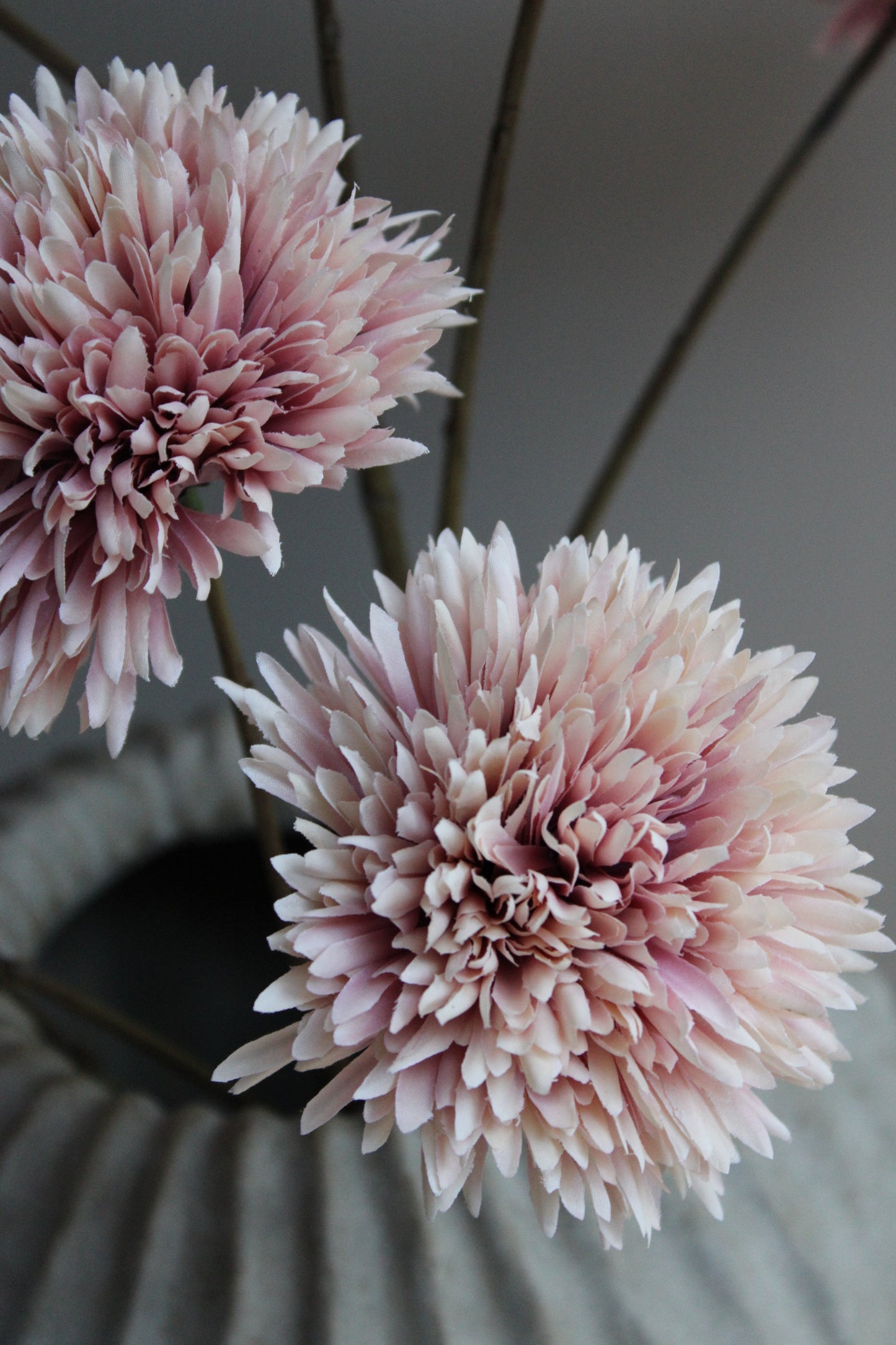 POM POM TAK | GIANT | CHAMPAGNE | 108CM