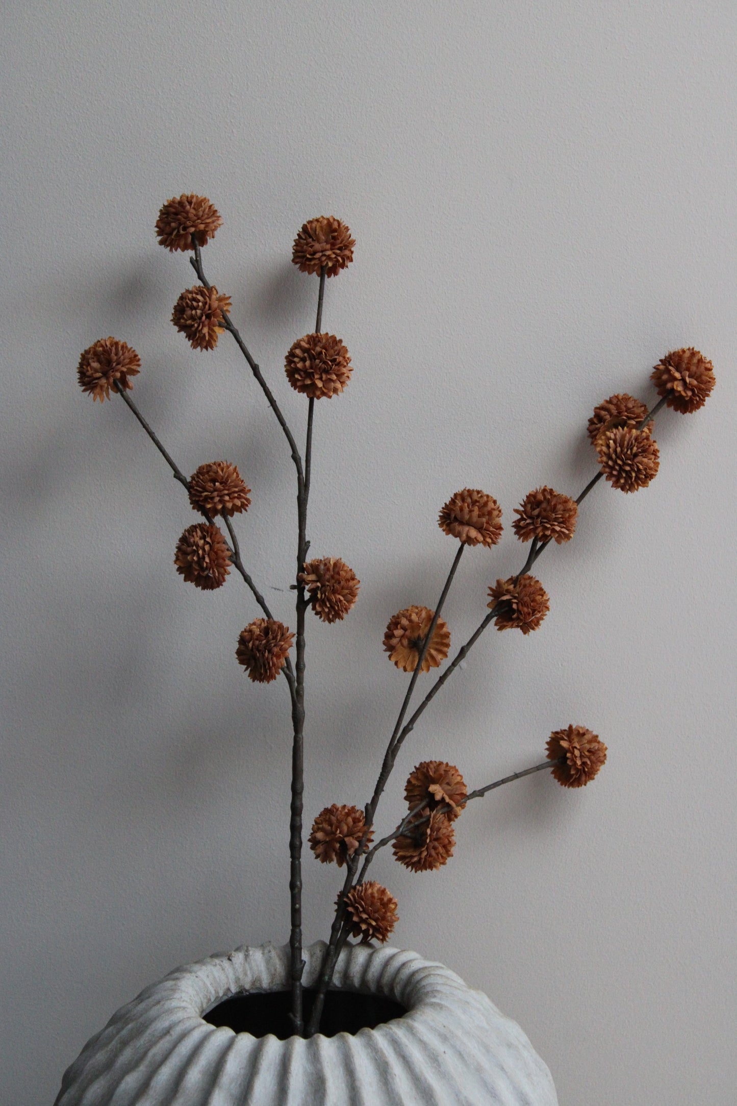 POM POM TAK | COFFEE | 100CM