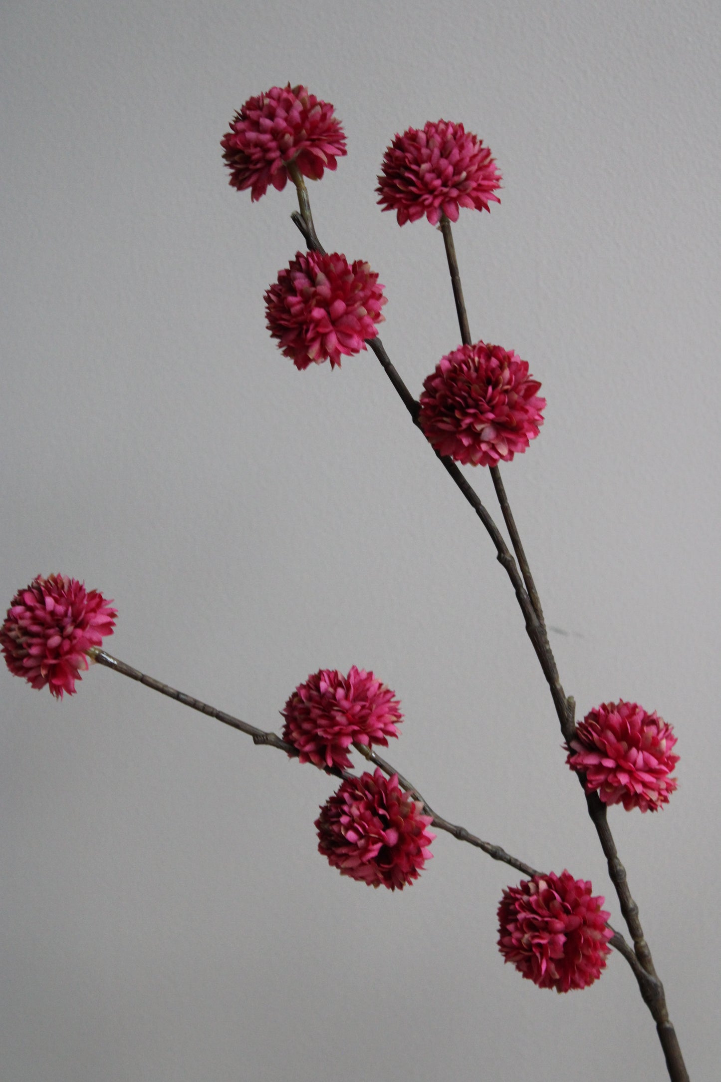 POM POM TAK | BURGUNDY | 100CM