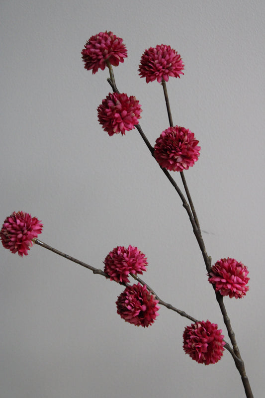 POM POM TAK | BURGUNDY | 100CM