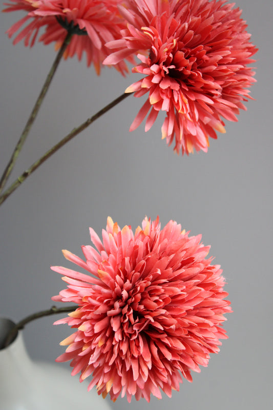 POM POM TAK | GIANT | ORANGE | 108CM