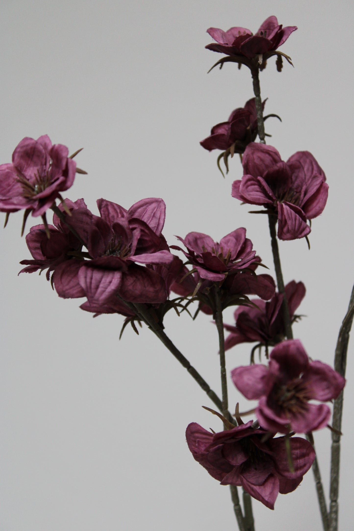 BLOEMENTAK | BURGUNDY | 110CM