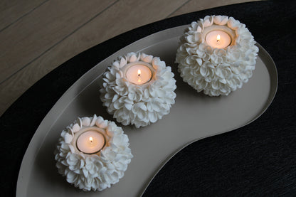 ROSES KANDELAAR | SCHELP
