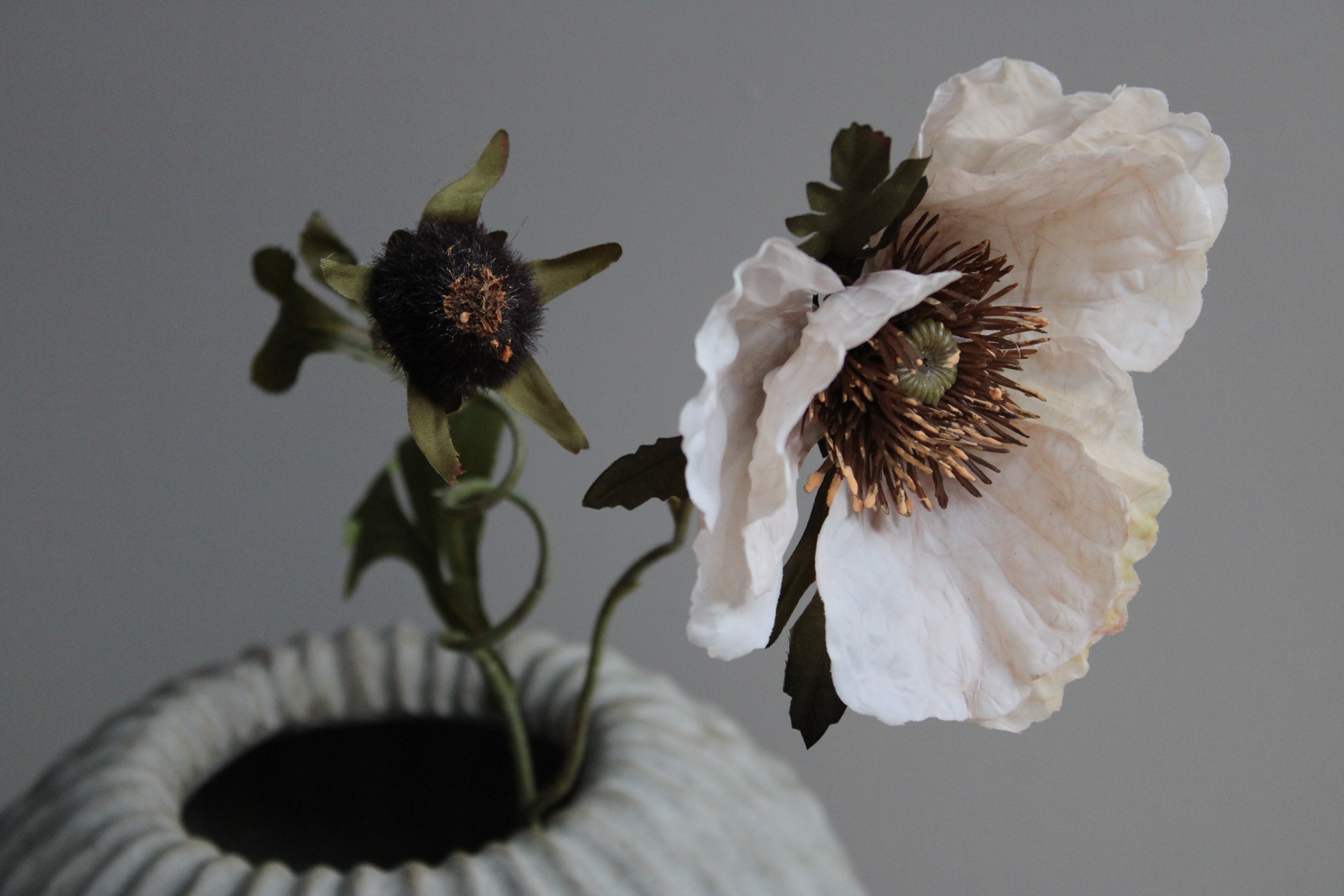 POPPY | BEIGE | 85CM