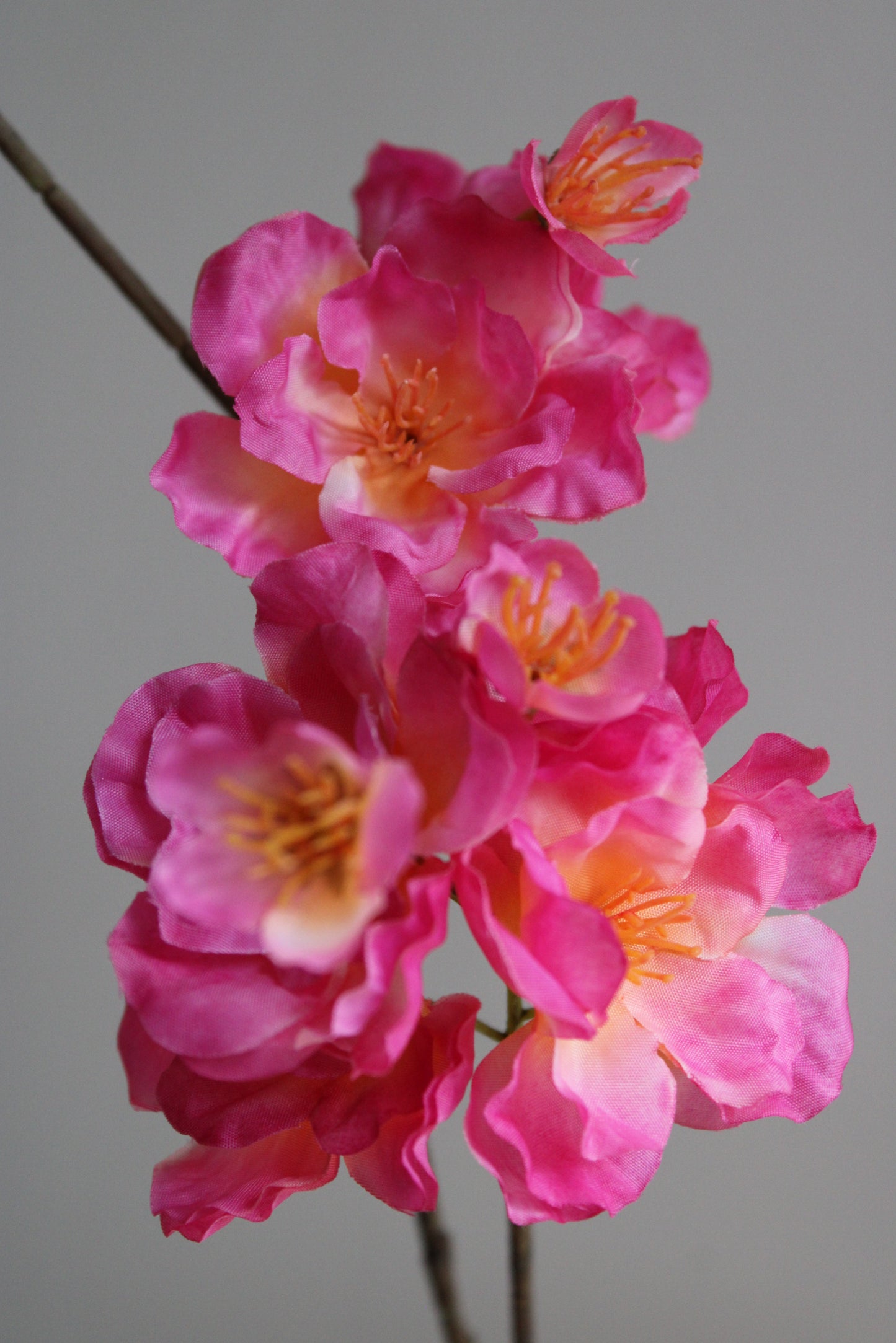 XL BLOESEMTAK | FUCHSIA | 115 CM