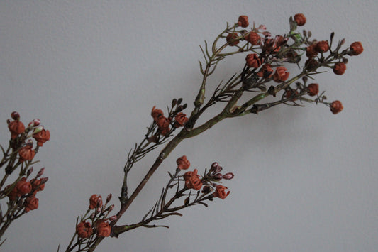 KUNSTTAK | GIPS | ORANJE