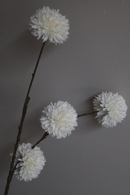 POM POM TAK | XL | WHITE
