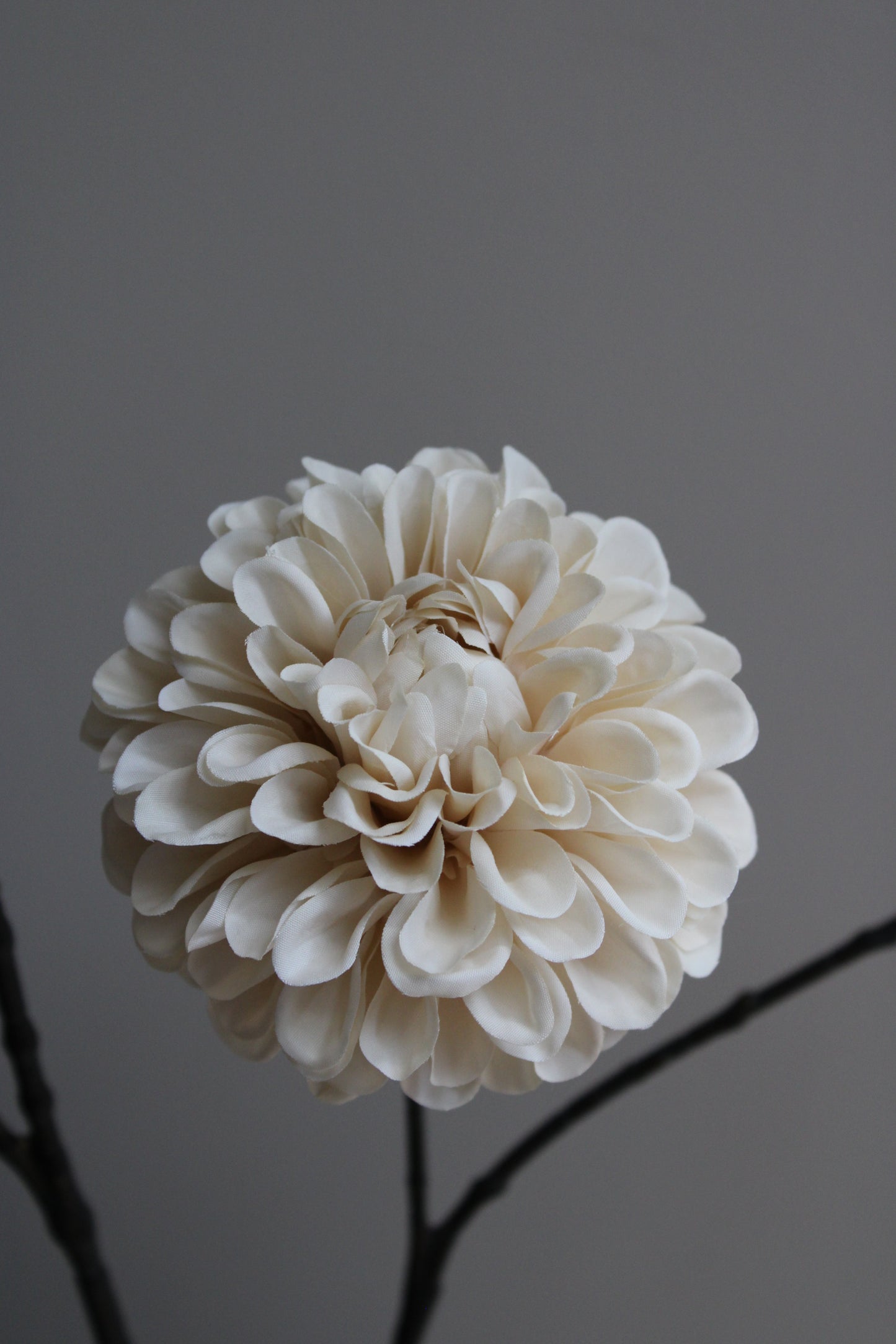 DAHLIA | CREAM | 115CM
