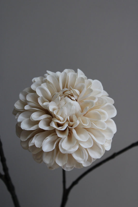DAHLIA | CREAM | 115CM