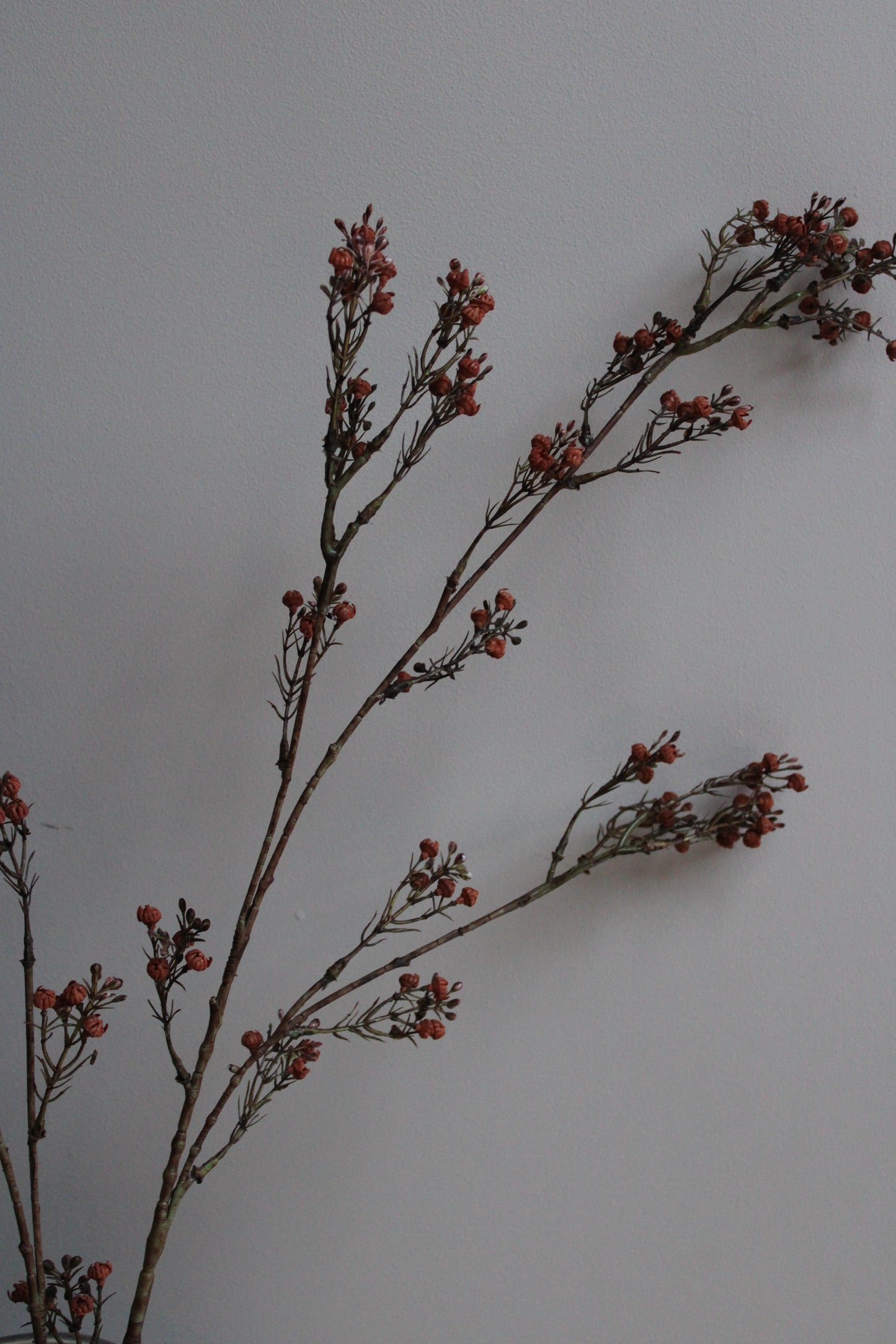 KUNSTTAK | GIPS | ORANJE