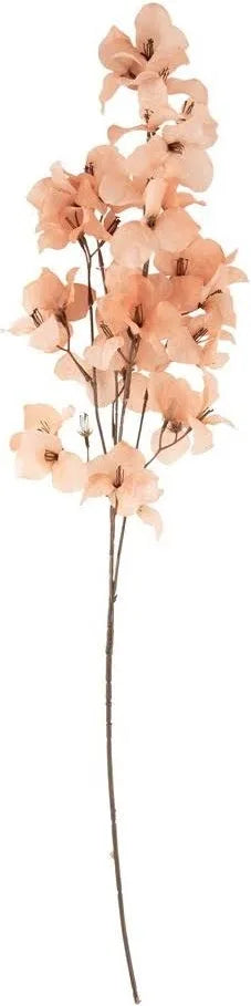 BLOEM | OUD ROZE