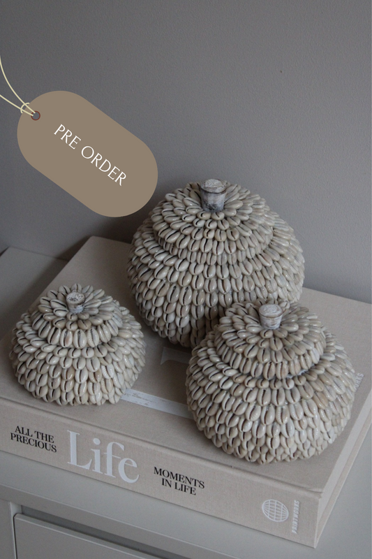 MOYO SHELL | POTJES | 3 FORMATEN | PRE ORDER