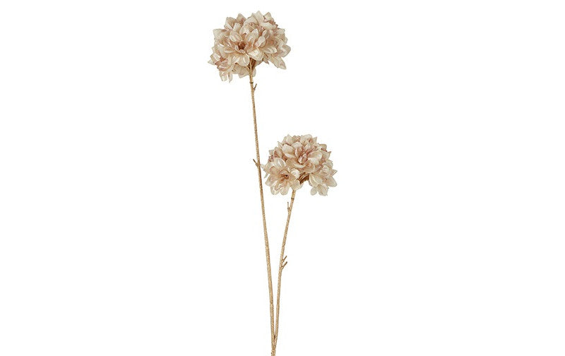 RODODENDRON | BEIGE | 85CM | 3 BOLLEN