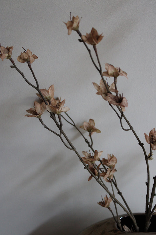 ZIJDEBLOEM | BLOSSOM | TAUPE