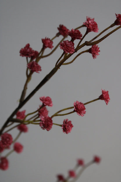 GIPS TAK | BURGUNDY | 115CM