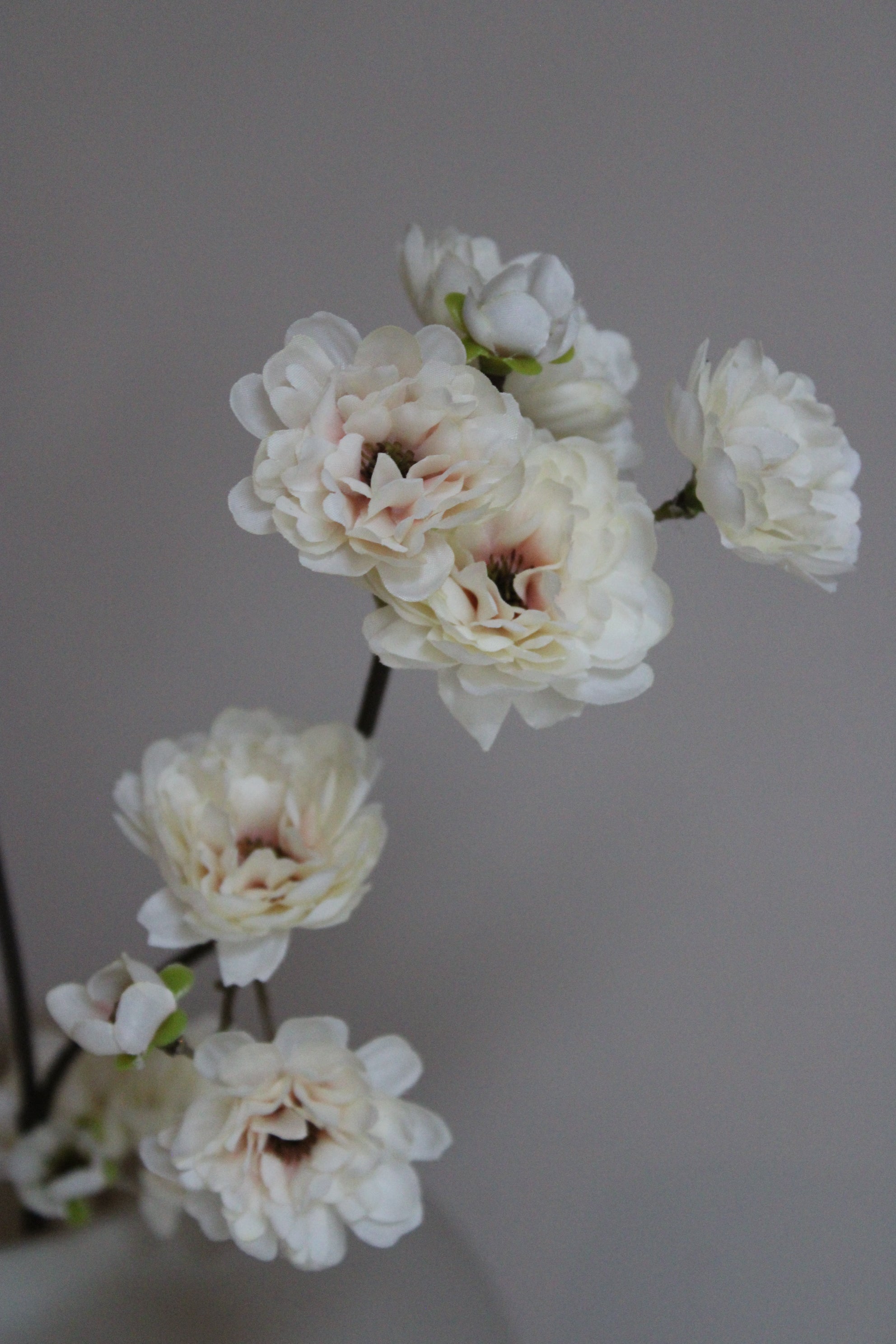 BLOESEMTAK | CREAM | 50CM