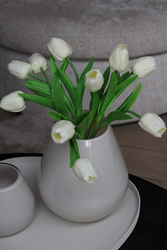 TULPEN WIT | 10 stuks