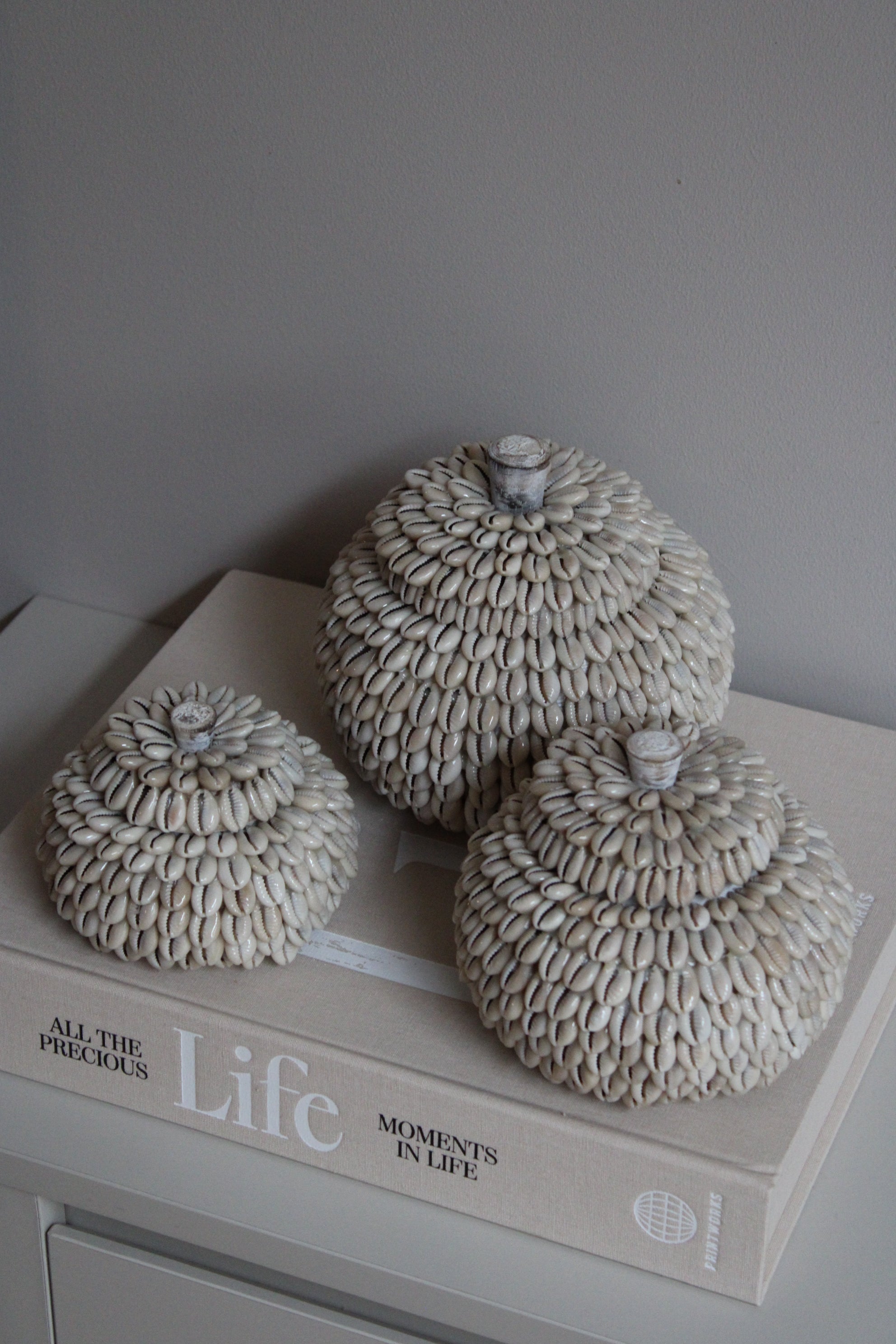 MOYO SHELL | POTJES | 3 FORMATEN | PRE ORDER