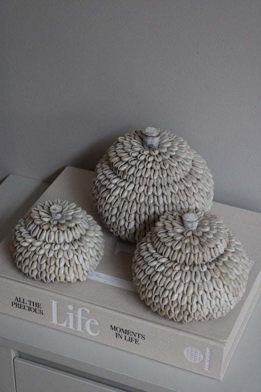 MOYO SHELL | POTJES | 3 FORMATEN | PRE ORDER