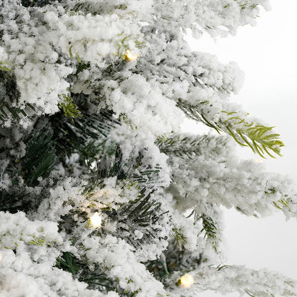 KERSTBOOM MET SNEEUW | GRIMSHAW | 2 FORMATEN
