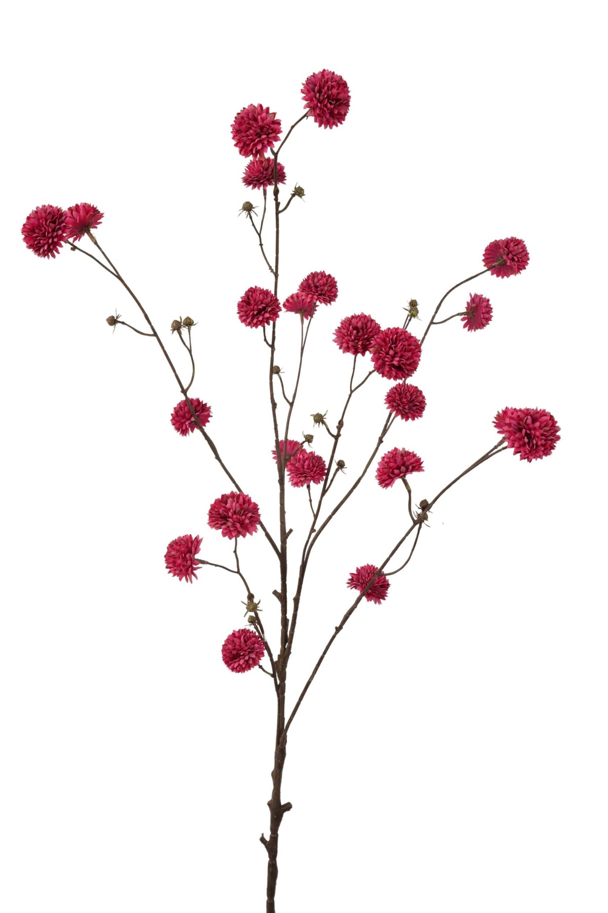 POM POM TAK | BORDEAUX | 122CM