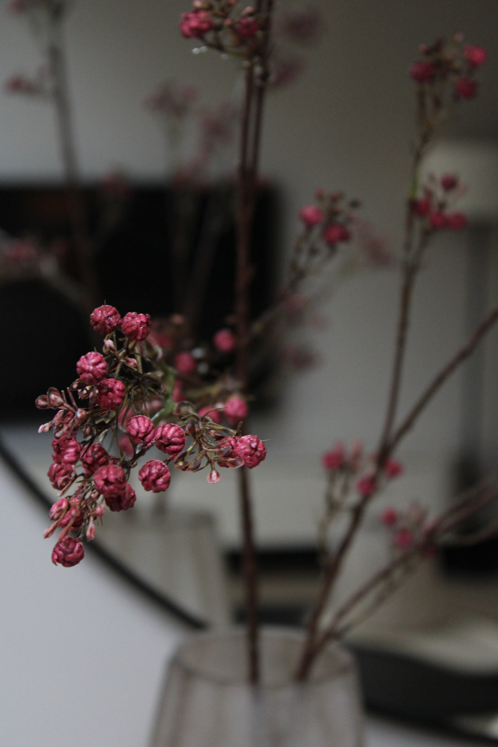 KUNSTTAK | GIPS | BURGUNDY