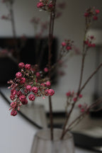 KUNSTTAK | GIPS | BURGUNDY