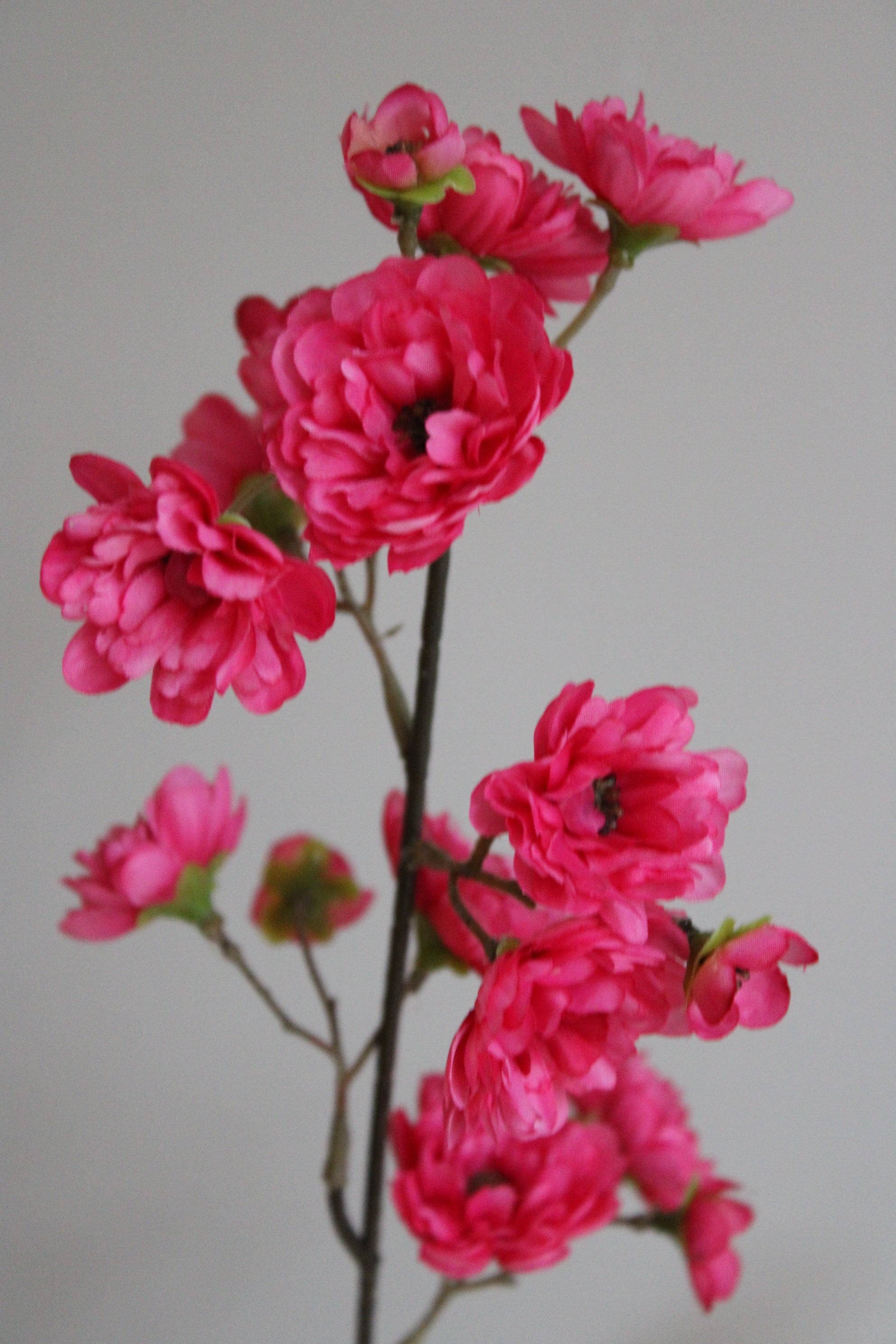 BLOESEMTAK | FUCHSIA | 80CM