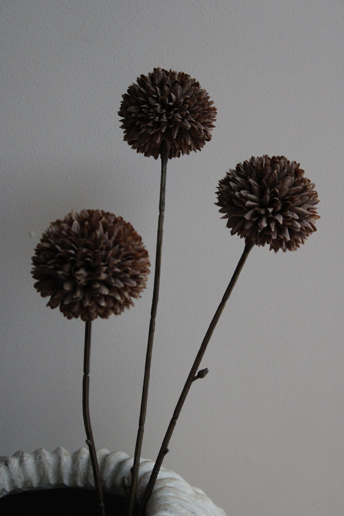 POM POM TAK | DARK COFFEE | 78CM