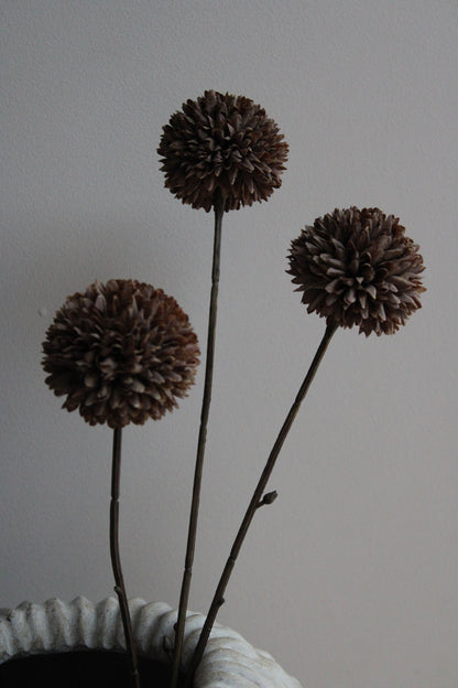 POM POM TAK | DARK COFFEE | 78CM