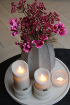 WINDLICHT/VAAS | BRADLEY | LIGHT & LIVING