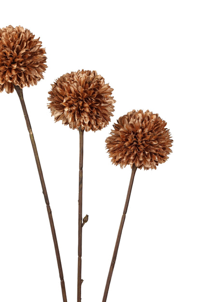 POM POM TAK | KOPER | 78CM