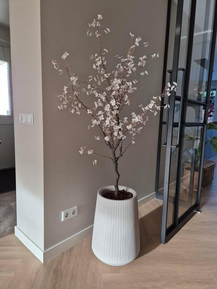 KUNSTBOOM | PYRUS | DIVERSE FORMATEN